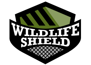 wildlife removal gravenhurst